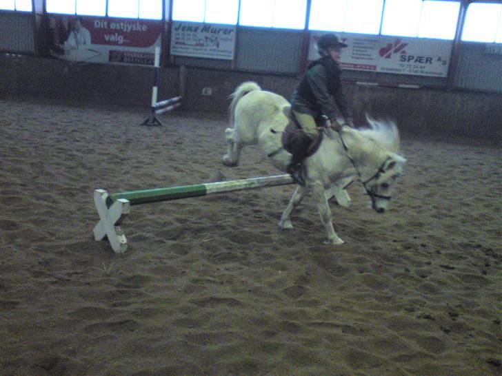 Springning på Brædstrup rideskole d. 31 Marts 10 - Kamilla og Rimi billede 66