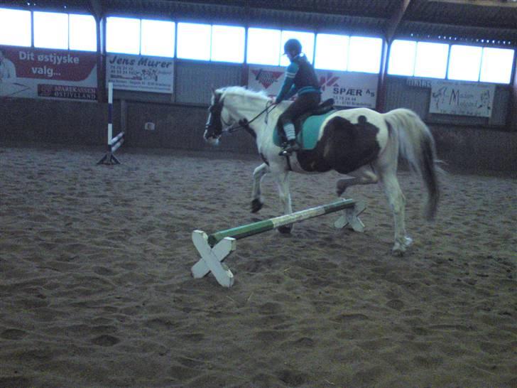 Springning på Brædstrup rideskole d. 31 Marts 10 - Cecilie og Indy billede 67