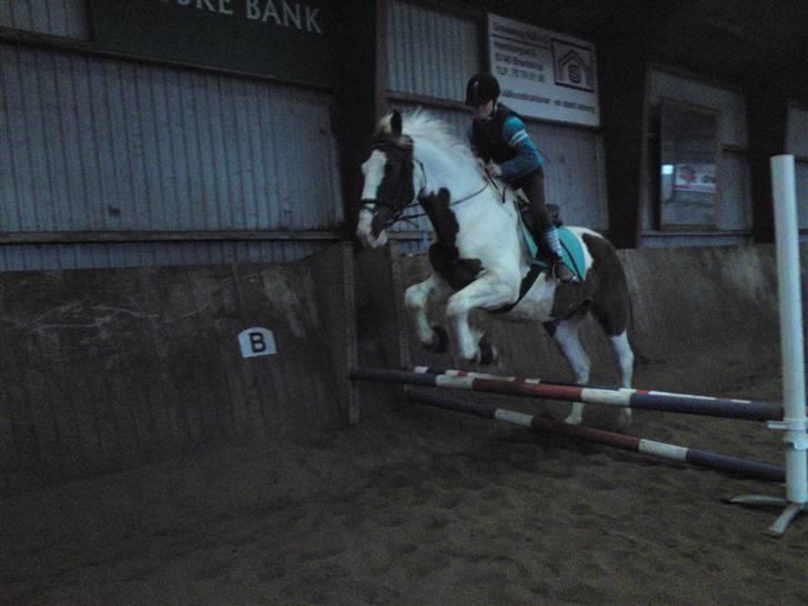 Springning på Brædstrup rideskole d. 31 Marts 10 - Cecilie og Indy billede 68