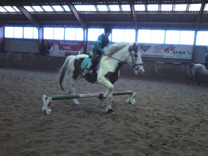 Springning på Brædstrup rideskole d. 31 Marts 10 - Cecilie og Indy billede 69