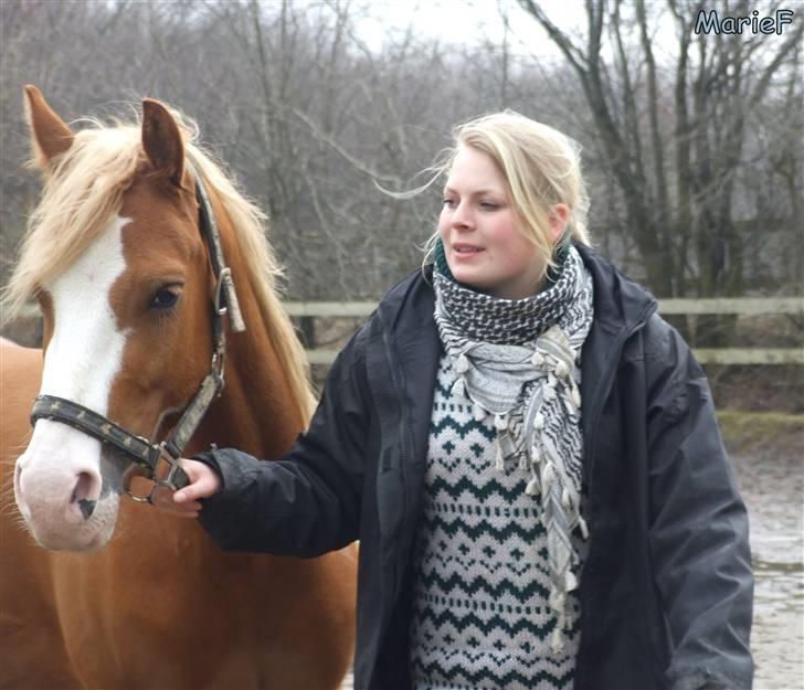Herlev Rideskole d. 19 marts billede 2