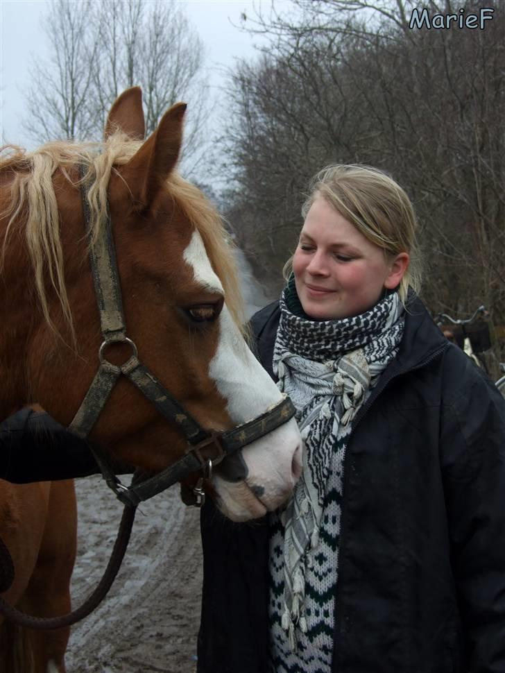 Herlev Rideskole d. 19 marts billede 13