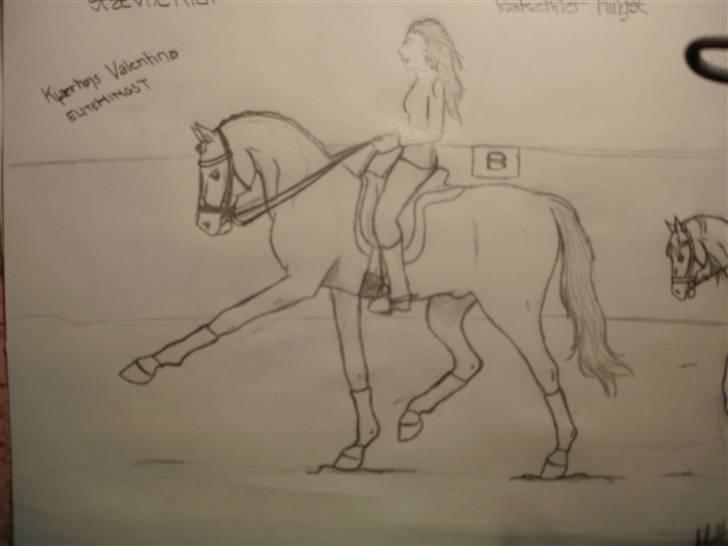 © Mine tegninger :) - FRI HÅND: Jeg fik en idé i hovedet til at tegne en hingst. Så det gjorde jeg, og resultatet blev en fin elite trakehner hingst :) Det gik stort set efter det billede, jeg havde dannet i hovedet, bagparten blev bare lidt stor, devsærre. Men sådan er det :) billede 90