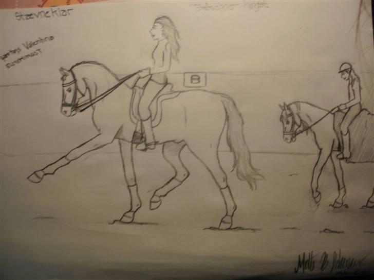 © Mine tegninger :) - FRI HÅND: Jeg fik en idé i hovedet til at tegne en hingst. Så det gjorde jeg, og resultatet blev en fin elite trakehner hingst :) Det gik stort set efter det billede, jeg havde dannet i hovedet, bagparten blev bare lidt stor, devsærre. Men sådan er det :) billede 91