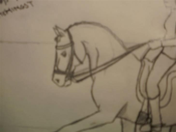 © Mine tegninger :) - FRI HÅND: Jeg fik en idé i hovedet til at tegne en hingst. Så det gjorde jeg, og resultatet blev en fin elite trakehner hingst :) Det gik stort set efter det billede, jeg havde dannet i hovedet, bagparten blev bare lidt stor, devsærre. Men sådan er det :) billede 92