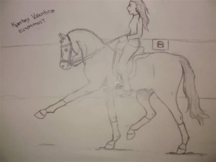 © Mine tegninger :) - FRI HÅND: Jeg fik en idé i hovedet til at tegne en hingst. Så det gjorde jeg, og resultatet blev en fin elite trakehner hingst :) Det gik stort set efter det billede, jeg havde dannet i hovedet, bagparten blev bare lidt stor, devsærre. Men sådan er det :) billede 93