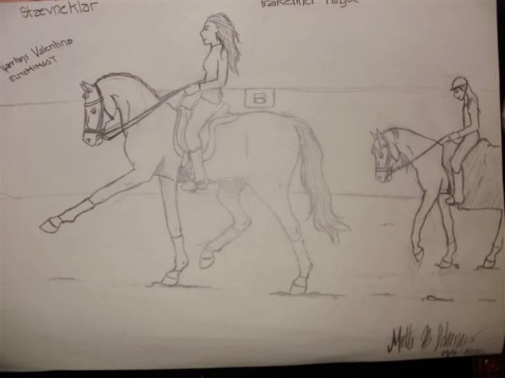 © Mine tegninger :) - FRI HÅND: Jeg fik en idé i hovedet til at tegne en hingst. Så det gjorde jeg, og resultatet blev en fin elite trakehner hingst :) Det gik stort set efter det billede, jeg havde dannet i hovedet, bagparten blev bare lidt stor, devsærre. Men sådan er det :) billede 94
