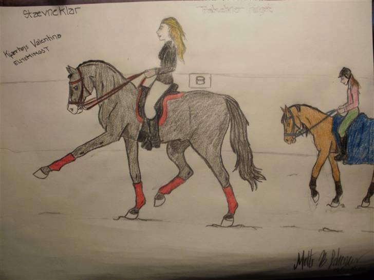 © Mine tegninger :) - FRI HÅND: Jeg fik en idé i hovedet til at tegne en hingst. Så det gjorde jeg, og resultatet blev en fin elite trakehner hingst :) Det gik stort set efter det billede, jeg havde dannet i hovedet, bagparten blev bare lidt stor, devsærre. Men sådan er det :) 

I FARVE :) billede 95