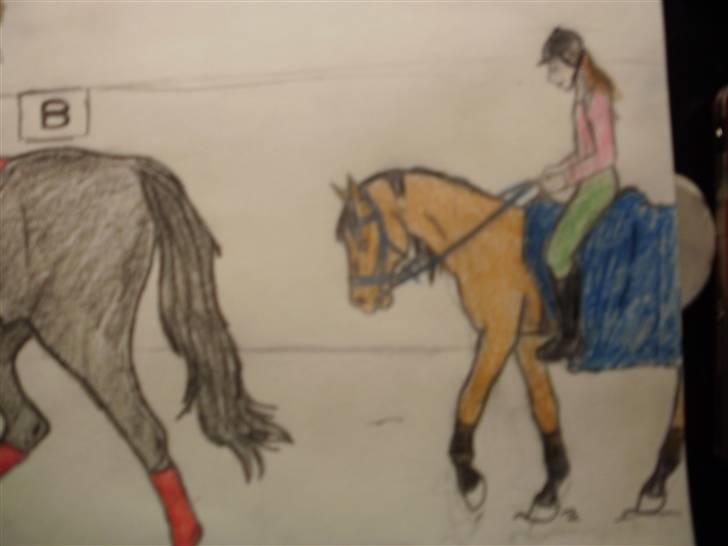 © Mine tegninger :) - FRI HÅND: Jeg fik en idé i hovedet til at tegne en hingst. Så det gjorde jeg, og resultatet blev en fin elite trakehner hingst :) Det gik stort set efter det billede, jeg havde dannet i hovedet, bagparten blev bare lidt stor, devsærre. Men sådan er det :) 

I FARVE :) billede 96