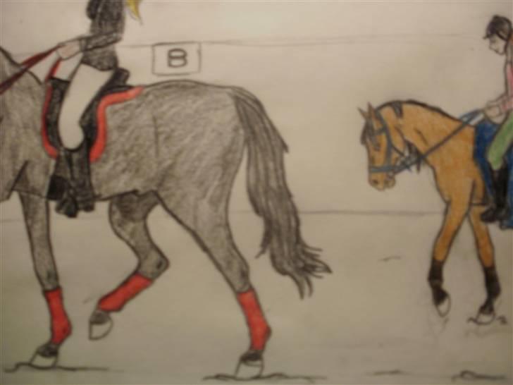© Mine tegninger :) - FRI HÅND: Jeg fik en idé i hovedet til at tegne en hingst. Så det gjorde jeg, og resultatet blev en fin elite trakehner hingst :) Det gik stort set efter det billede, jeg havde dannet i hovedet, bagparten blev bare lidt stor, devsærre. Men sådan er det :) 

I FARVE :) billede 97