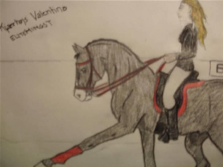 © Mine tegninger :) - FRI HÅND: Jeg fik en idé i hovedet til at tegne en hingst. Så det gjorde jeg, og resultatet blev en fin elite trakehner hingst :) Det gik stort set efter det billede, jeg havde dannet i hovedet, bagparten blev bare lidt stor, devsærre. Men sådan er det :) 

I FARVE :) billede 98