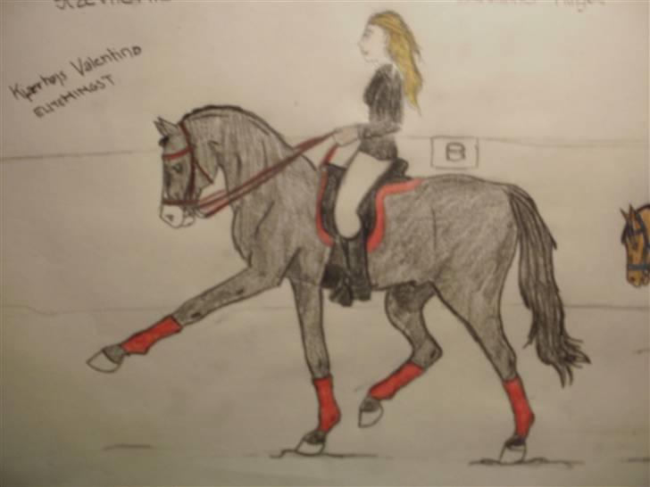 © Mine tegninger :) - FRI HÅND: Jeg fik en idé i hovedet til at tegne en hingst. Så det gjorde jeg, og resultatet blev en fin elite trakehner hingst :) Det gik stort set efter det billede, jeg havde dannet i hovedet, bagparten blev bare lidt stor, devsærre. Men sådan er det :) 

I FARVE :) billede 99