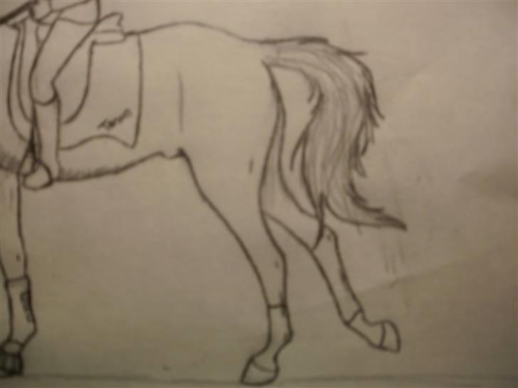 © Mine tegninger :) billede 100