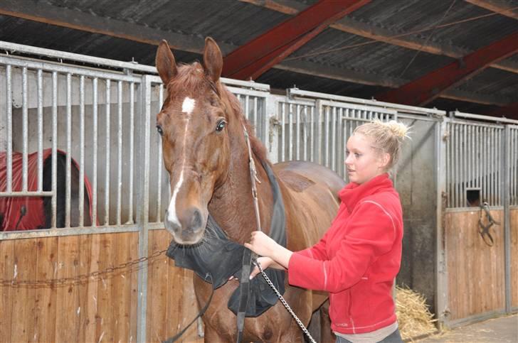 En dag med musser + stævne billede 1