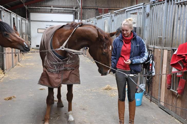 En dag med musser + stævne billede 2