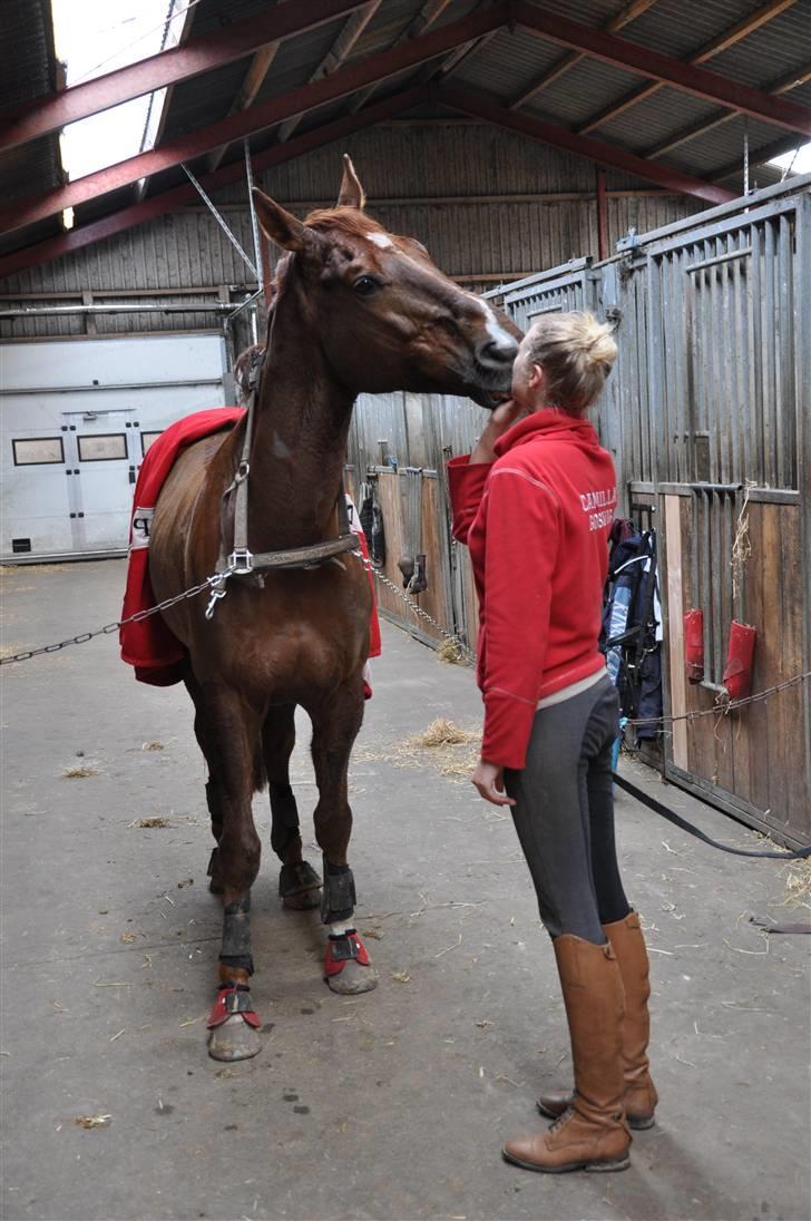 En dag med musser + stævne - KÆRLIGHED <3 billede 5