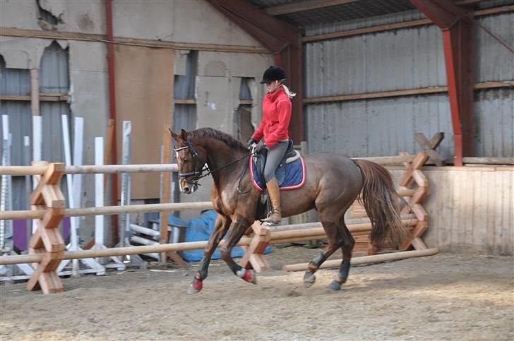 En dag med musser + stævne billede 7