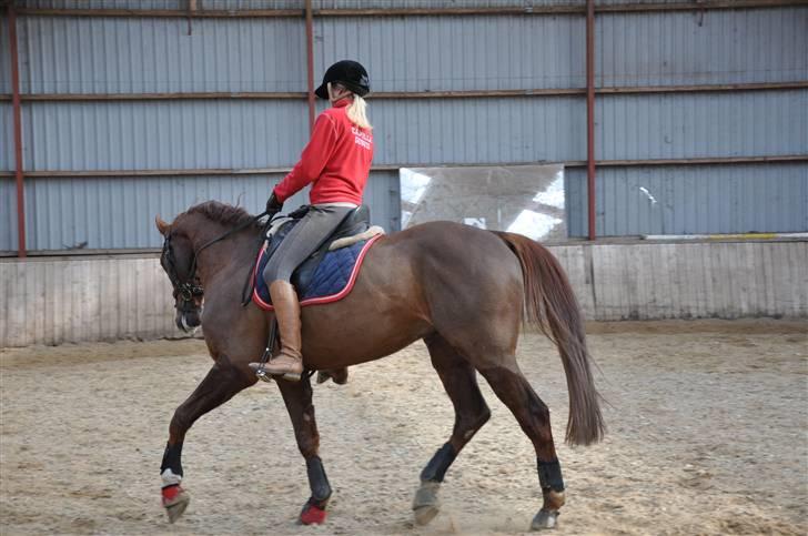 En dag med musser + stævne billede 8
