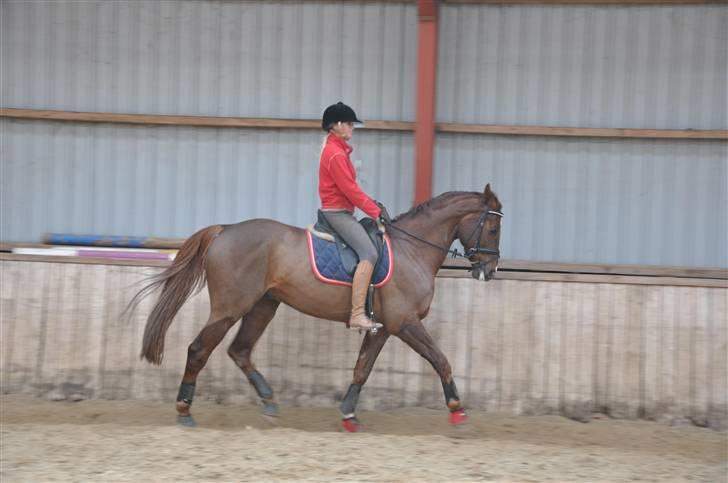 En dag med musser + stævne billede 12