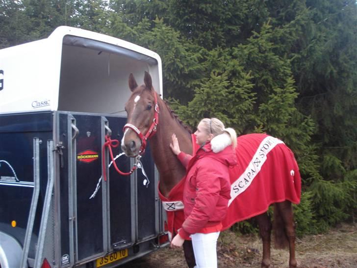 En dag med musser + stævne billede 15