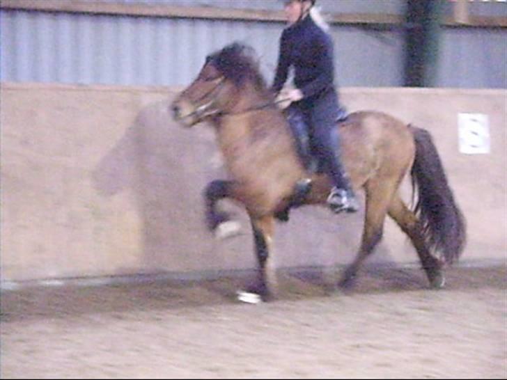 Hektor frá Litlu-Sandvík billede 1