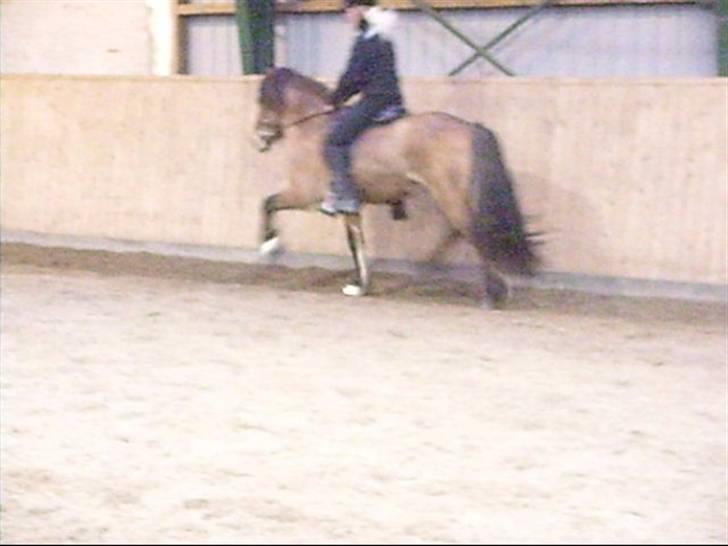 Hektor frá Litlu-Sandvík billede 2