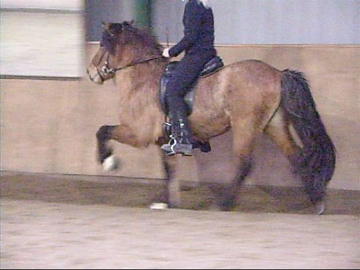 Hektor frá Litlu-Sandvík billede 3