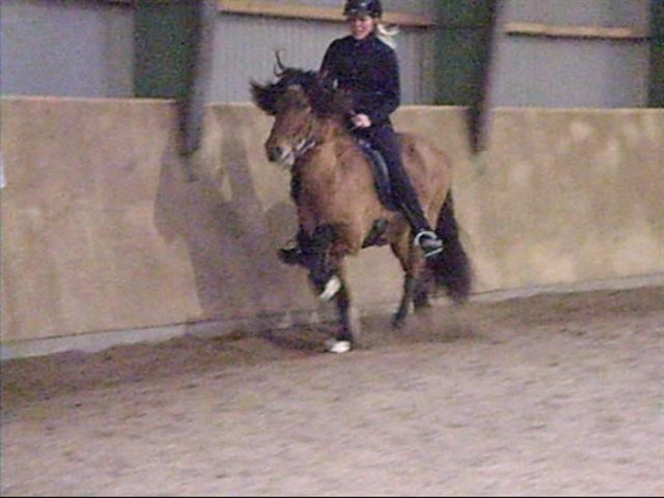 Hektor frá Litlu-Sandvík billede 6