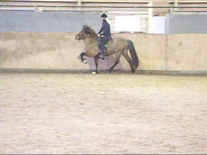 Hektor frá Litlu-Sandvík billede 7