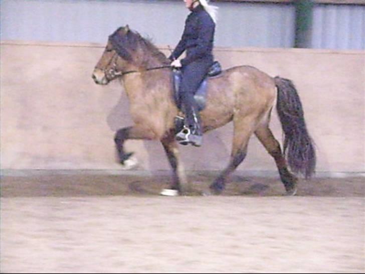 Hektor frá Litlu-Sandvík billede 8