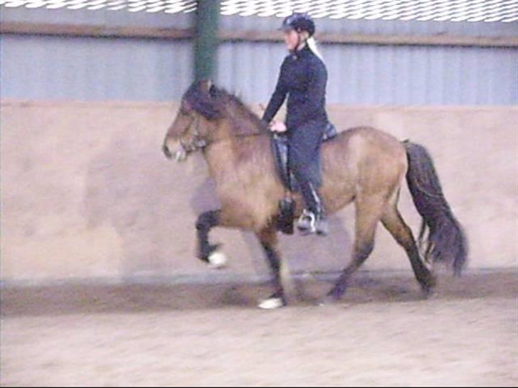 Hektor frá Litlu-Sandvík billede 9