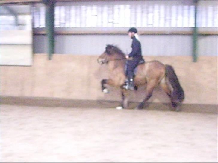 Hektor frá Litlu-Sandvík billede 10