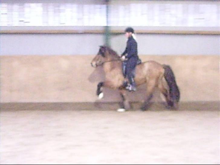 Hektor frá Litlu-Sandvík billede 11