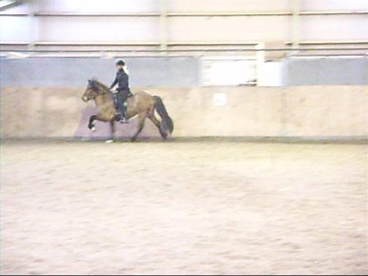 Hektor frá Litlu-Sandvík billede 12