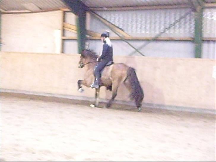 Hektor frá Litlu-Sandvík billede 13