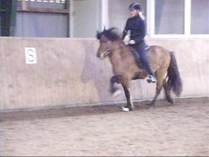 Hektor frá Litlu-Sandvík billede 16