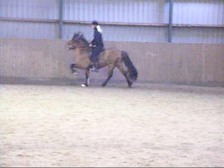 Hektor frá Litlu-Sandvík billede 17