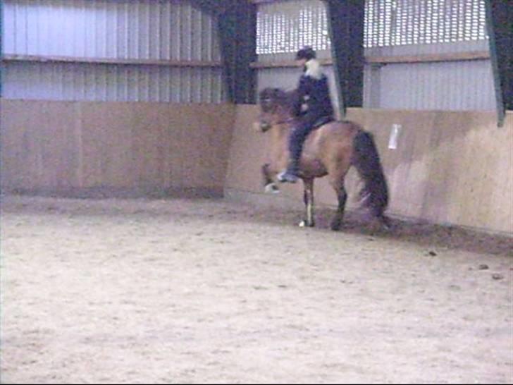 Hektor frá Litlu-Sandvík billede 18