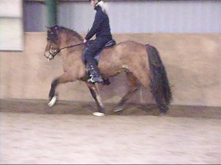 Hektor frá Litlu-Sandvík billede 19