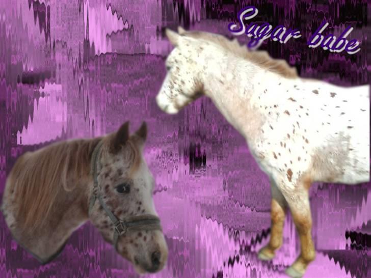 Nye og pænere billeder :) - Nyt billede 1