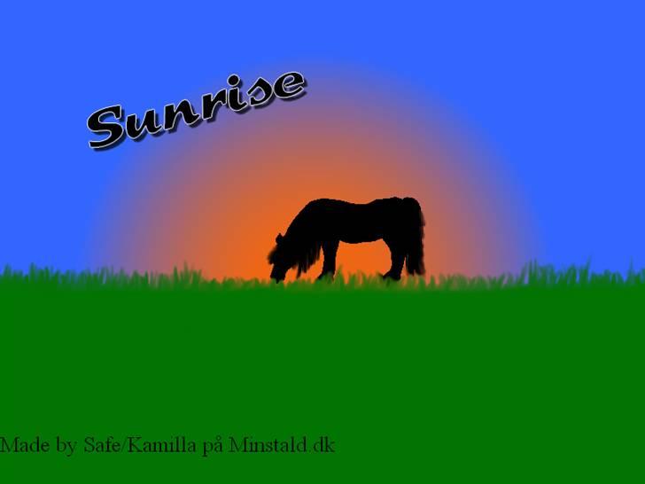 Mine hestetegninger på computeren :) - En silhuet af en hest i en solnedgang :D billede 5