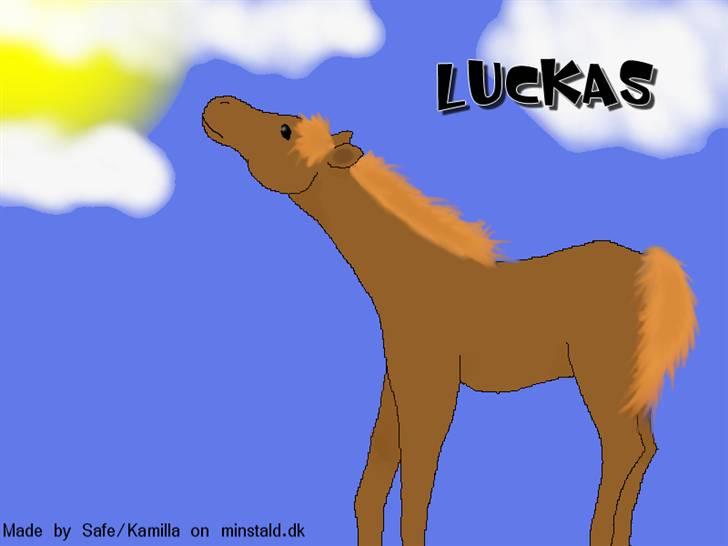 Mine hestetegninger på computeren :) - Mit første føl :D billede 9