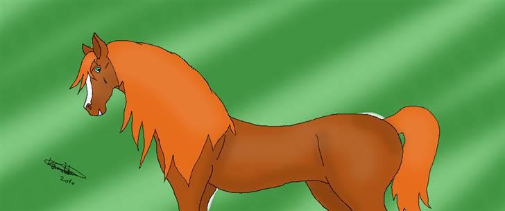 Mine hestetegninger på computeren :) billede 17