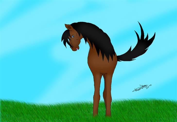 Mine hestetegninger på computeren :) billede 19