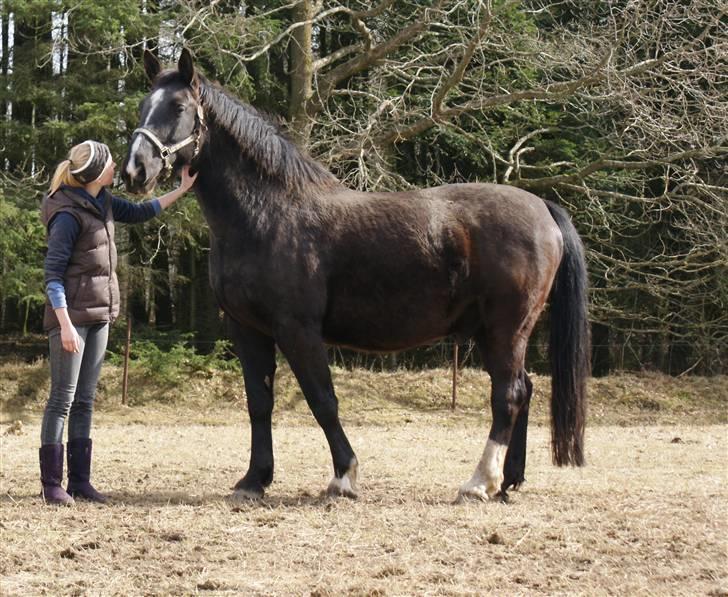 Black Magic - D. 3.april 2010 billede 34