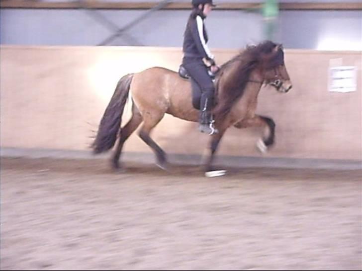 Hektor frá Litlu-Sandvík billede 26