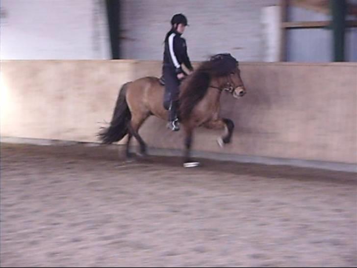 Hektor frá Litlu-Sandvík billede 27