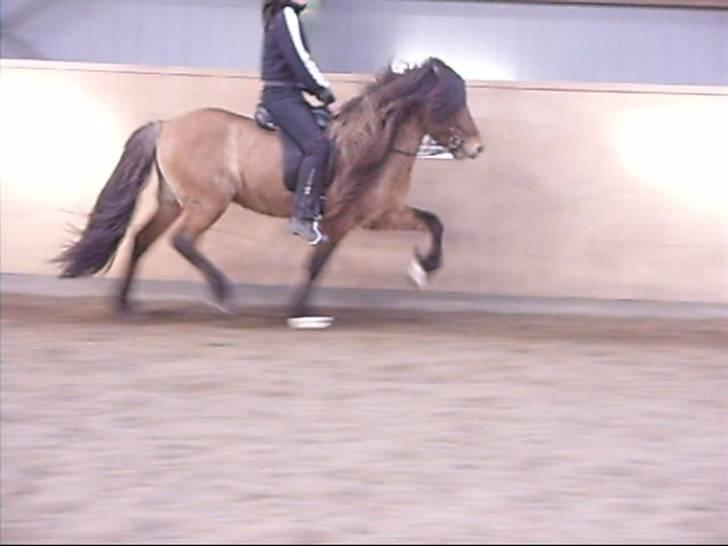 Hektor frá Litlu-Sandvík billede 28