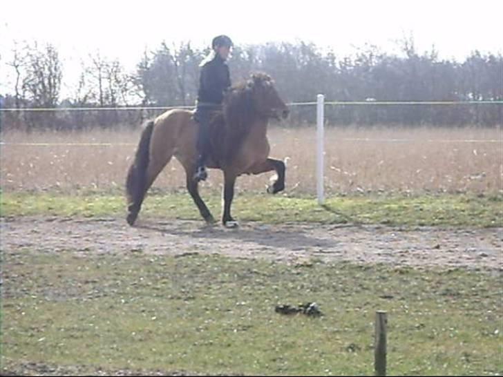 Hektor frá Litlu-Sandvík billede 29