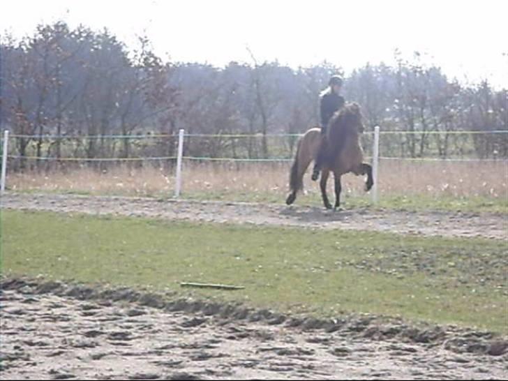 Hektor frá Litlu-Sandvík billede 30